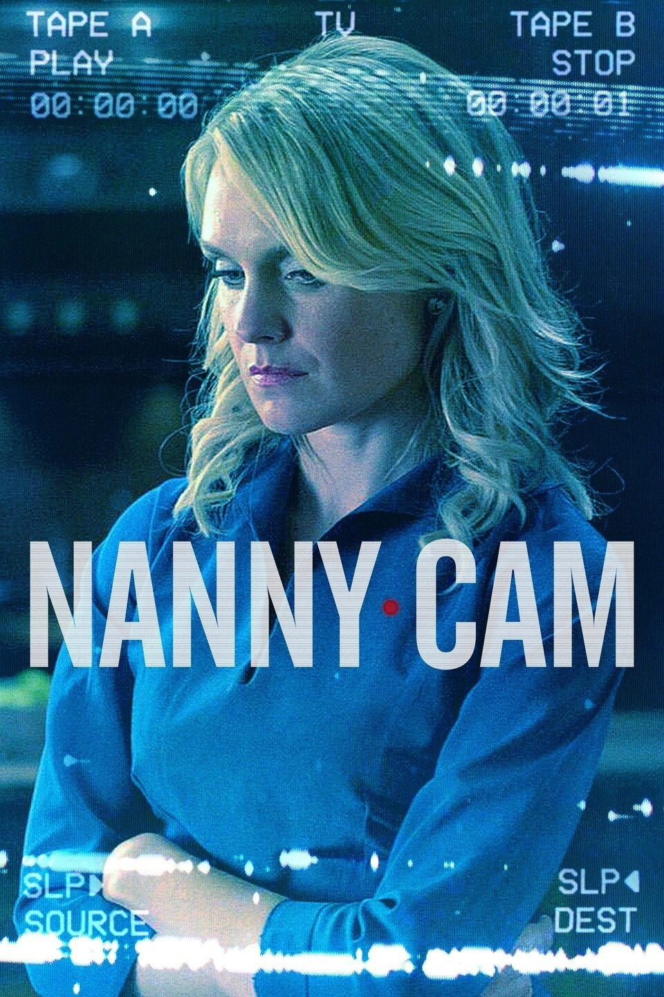 Nanny Cam