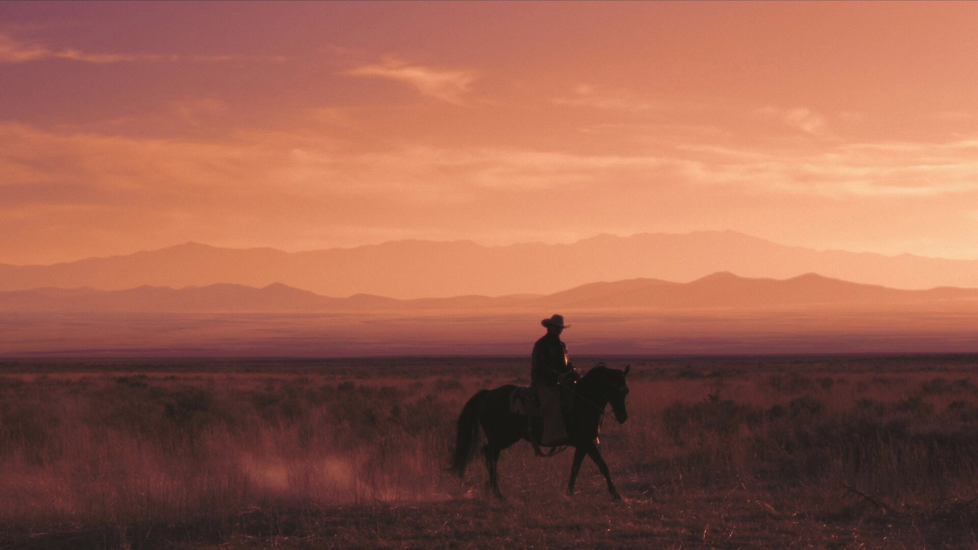 Wyatt Earp and the Cowboy War