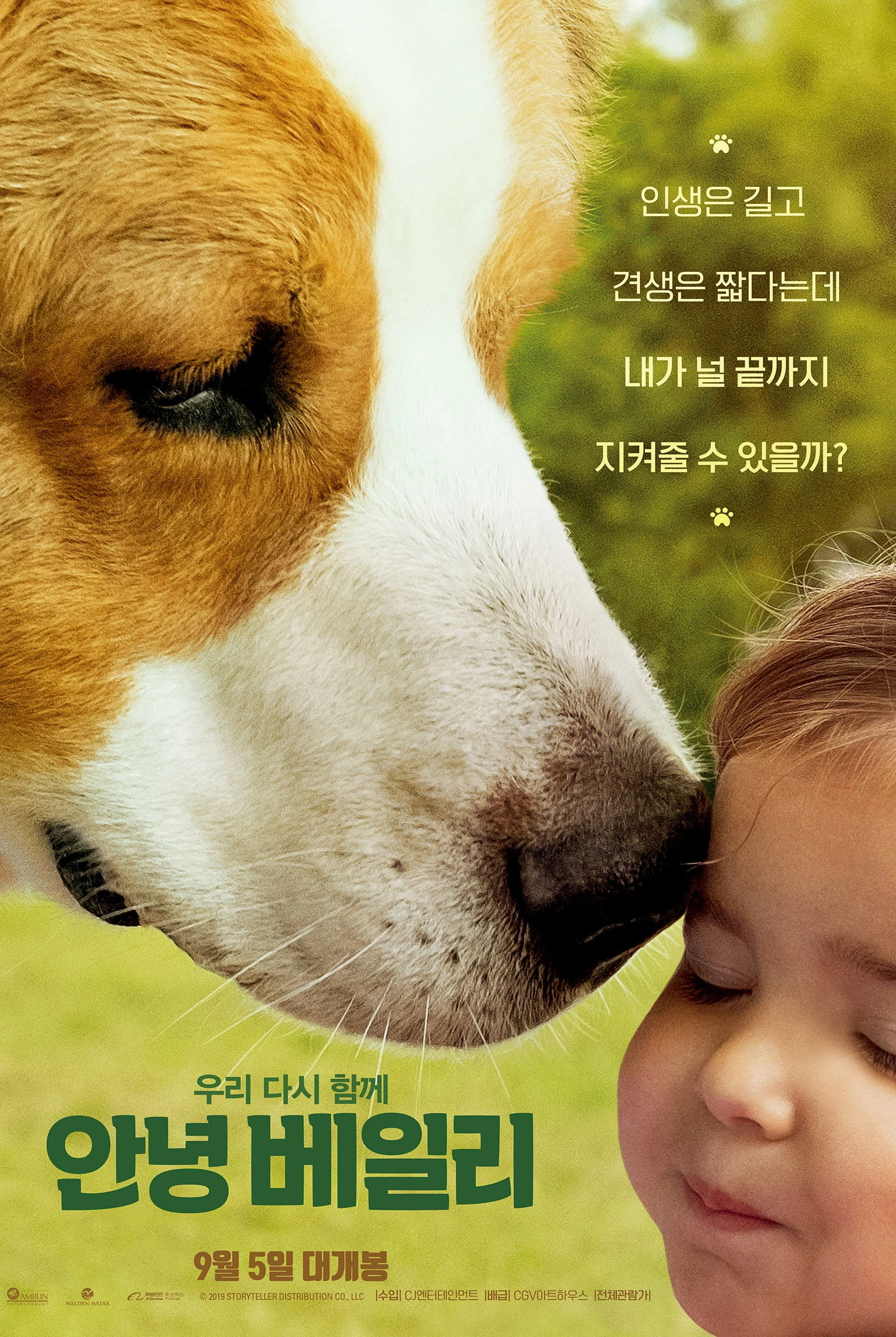 A Dog's Journey