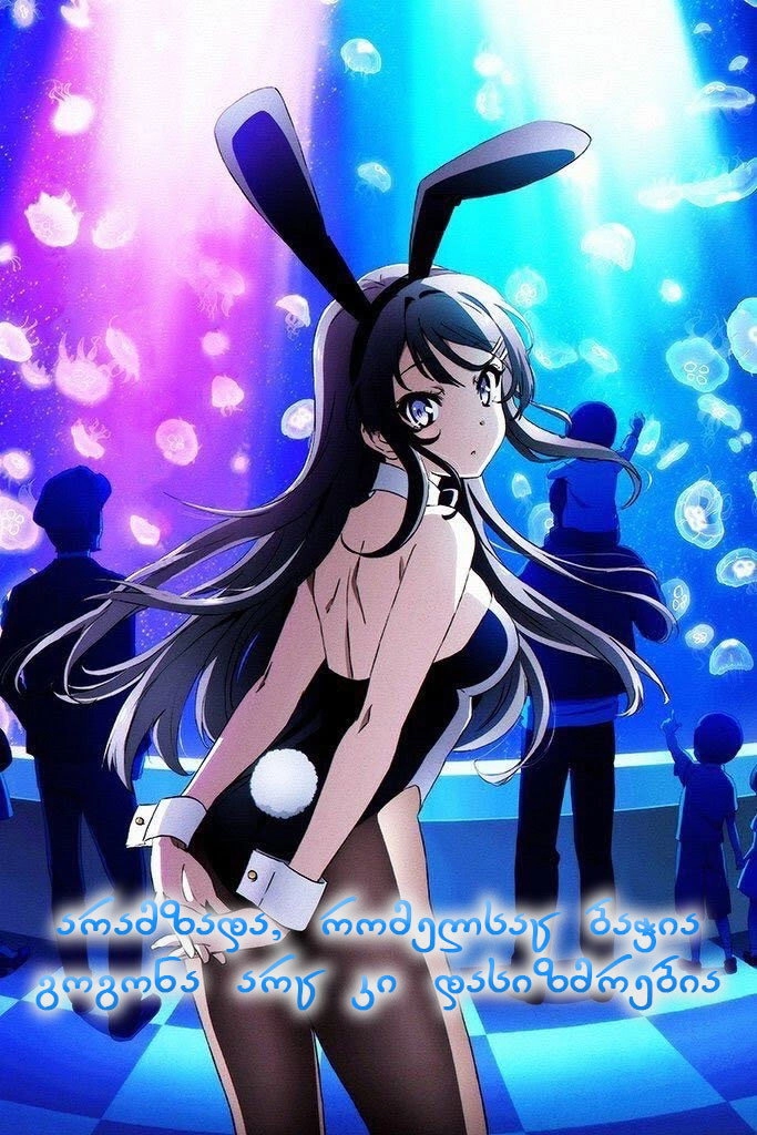 Rascal Does Not Dream of Bunny Girl Senpai
