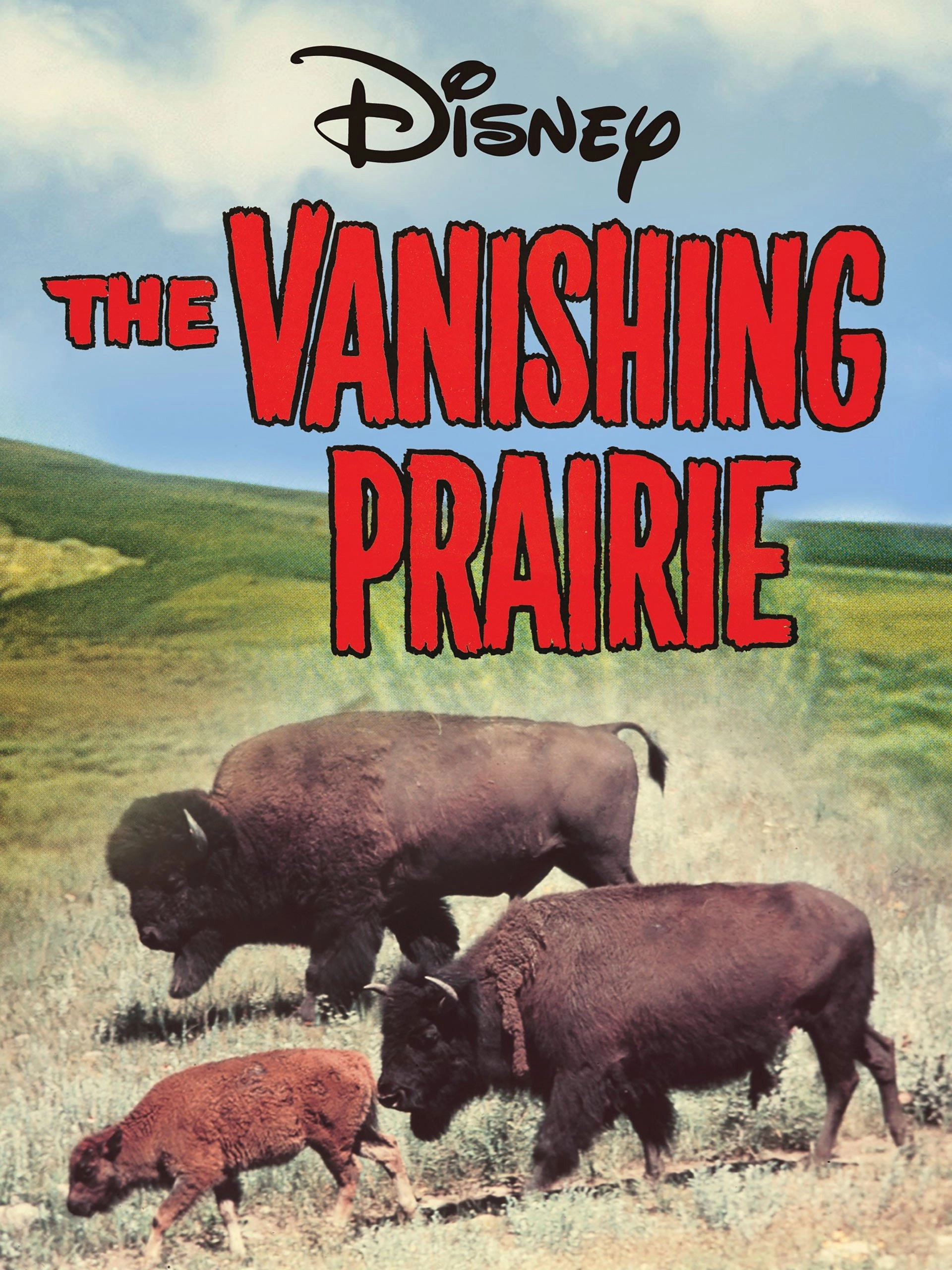 The Vanishing Prairie