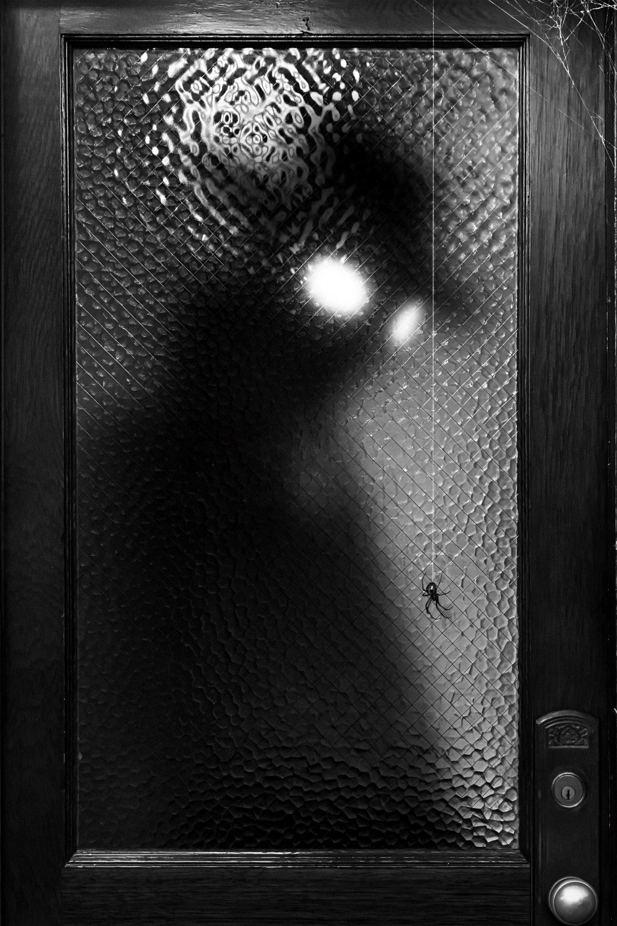 Spider-Noir