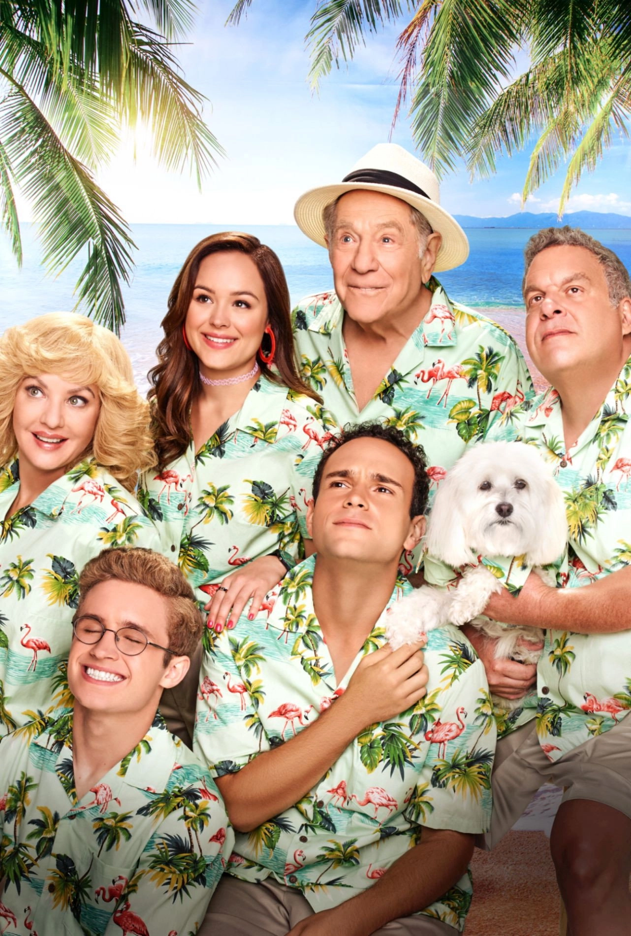 The Goldbergs