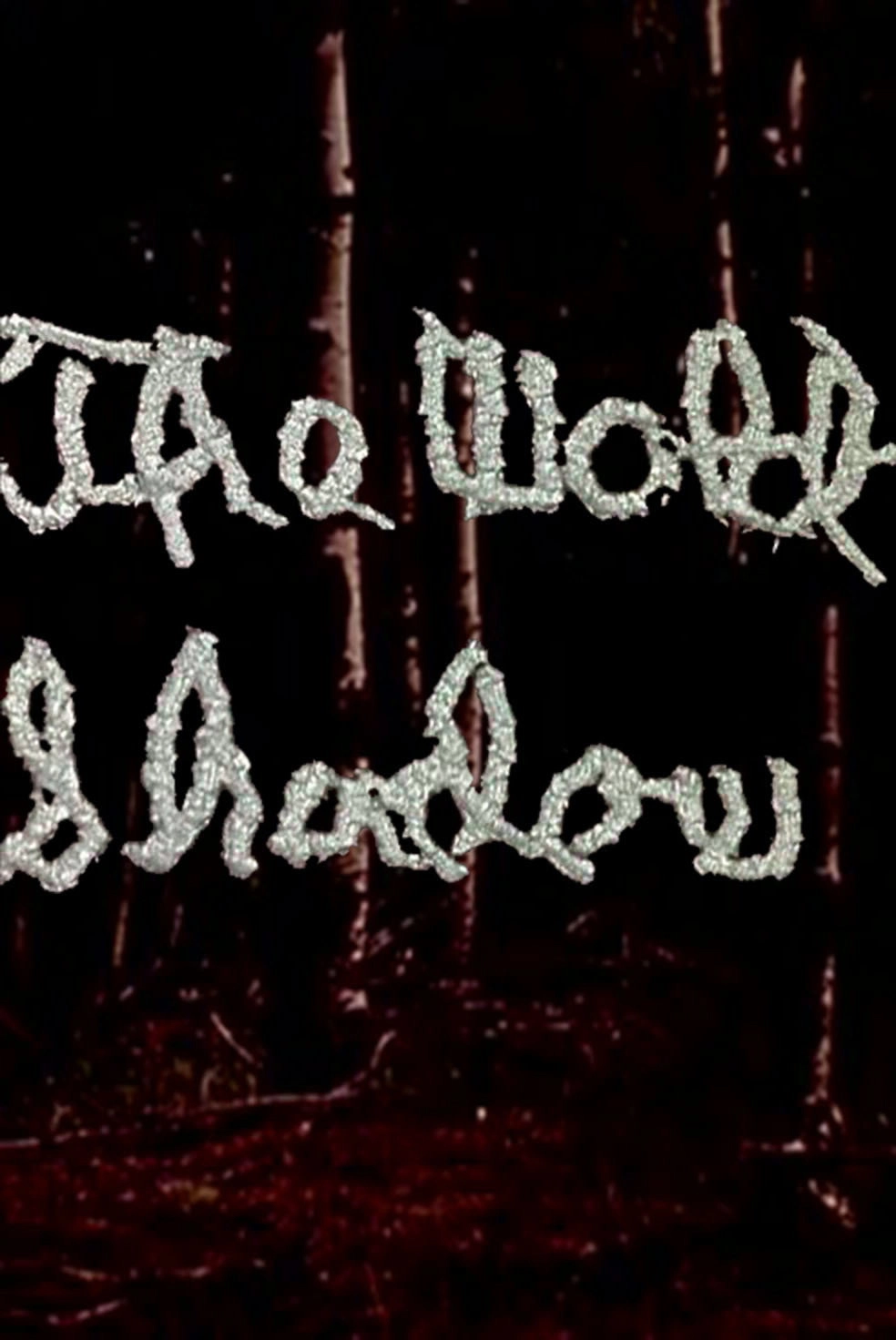 The Wold-Shadow