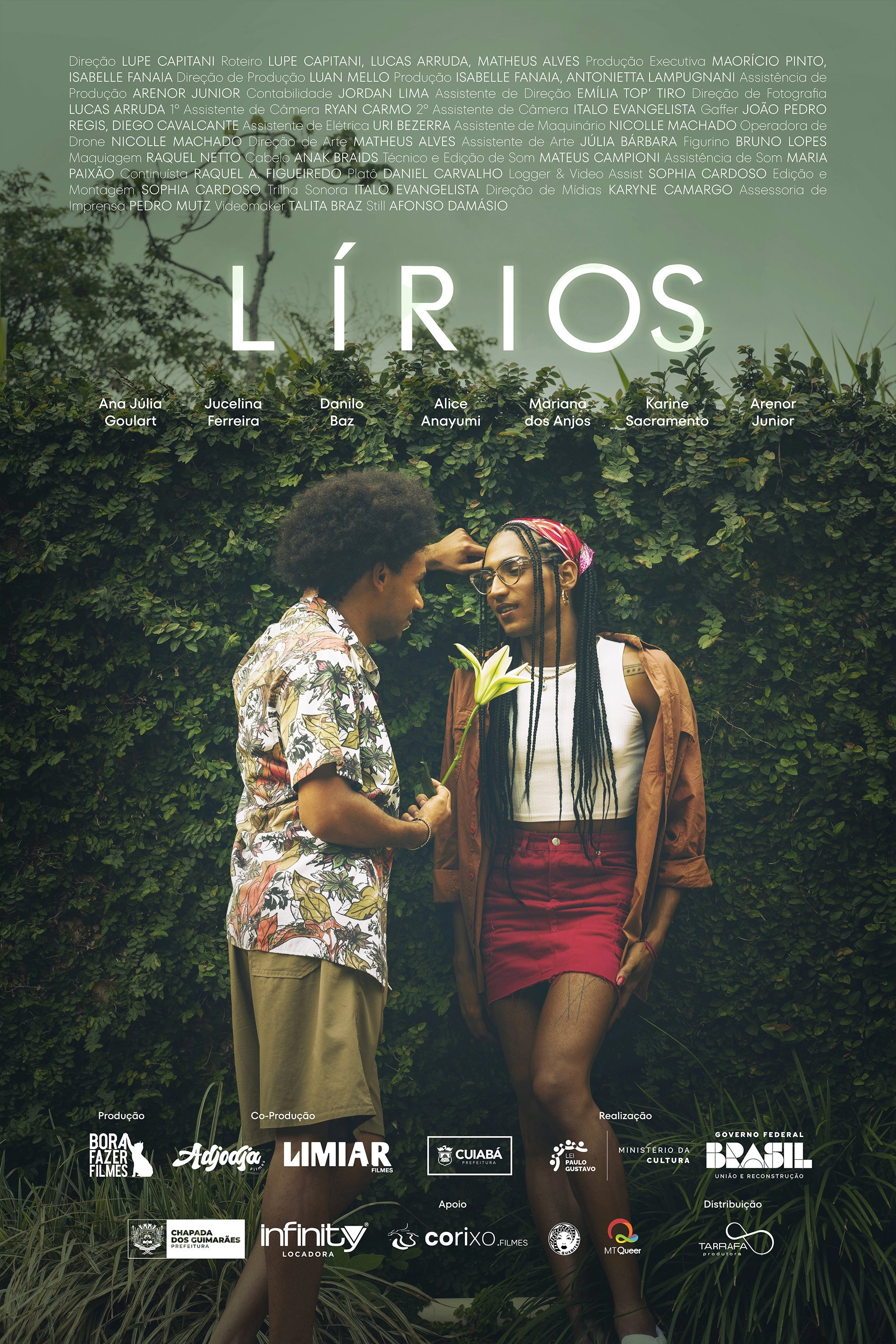 Lírios