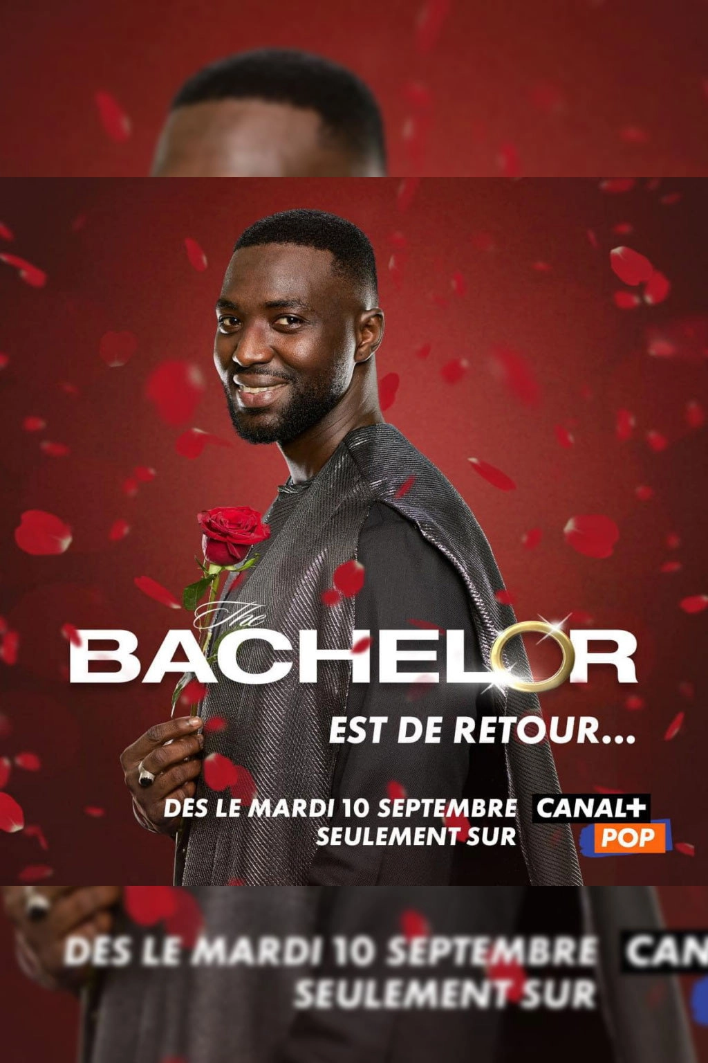 The Bachelor - Afrique