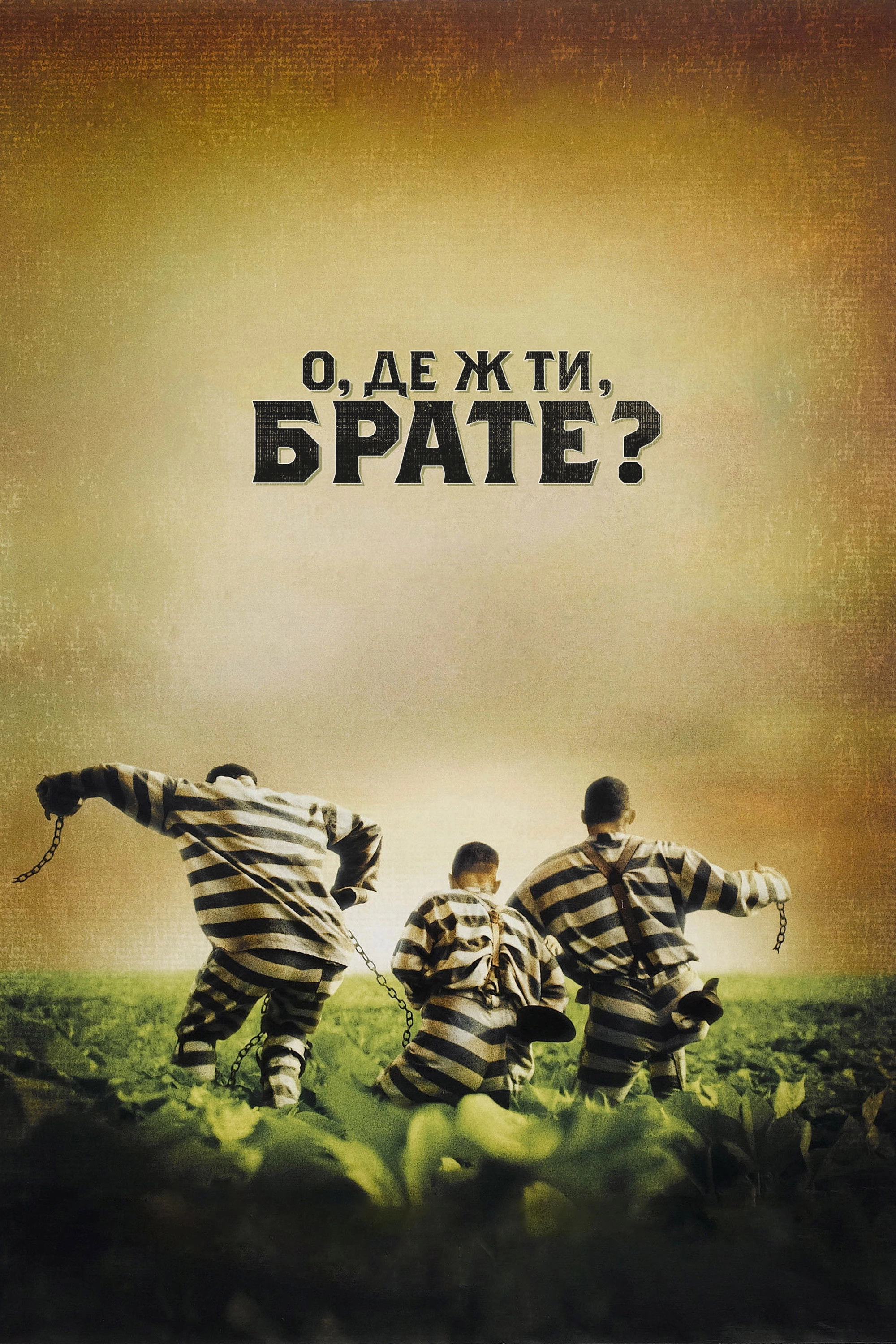 Lolz-ita