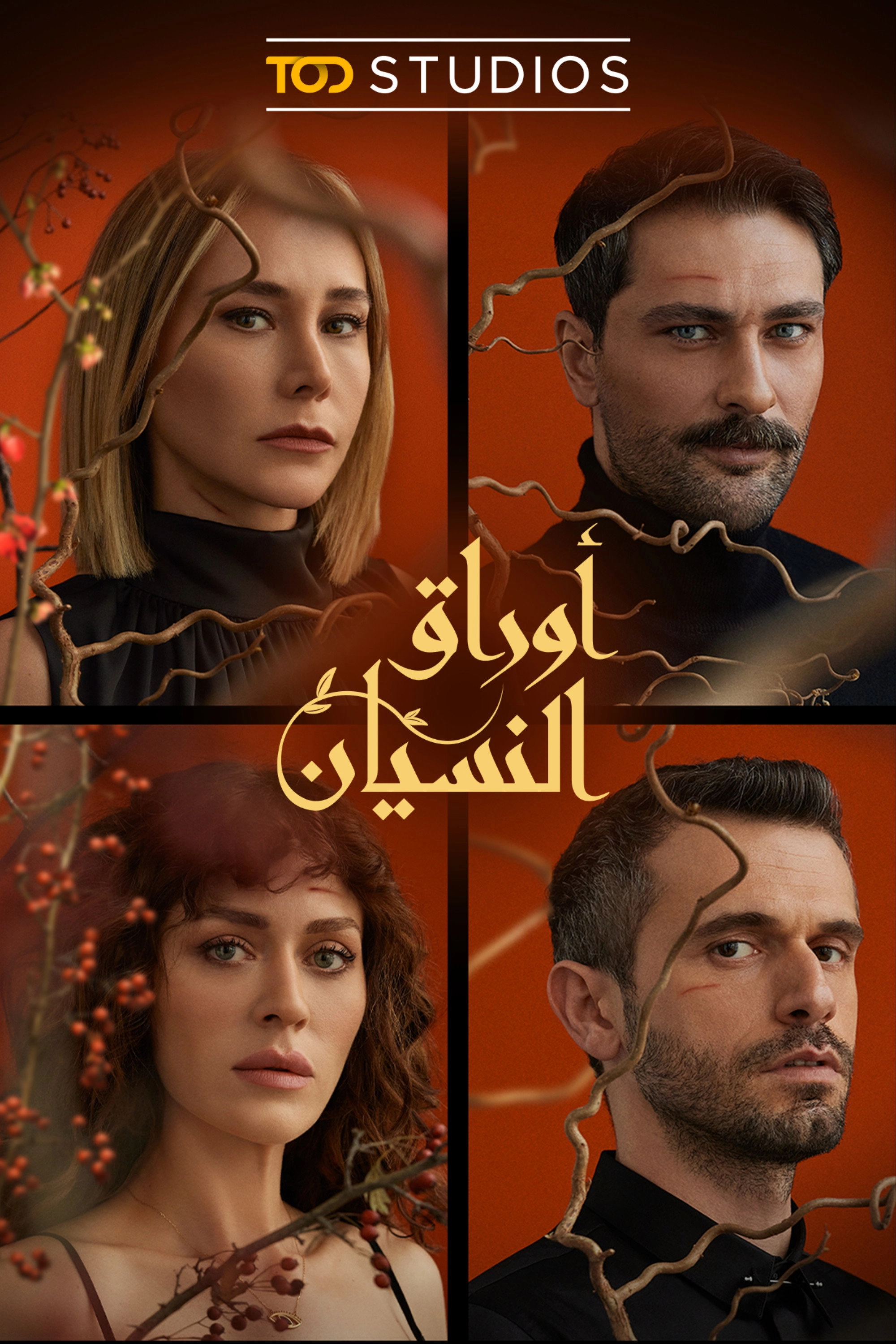Sarmaşık Zamanı