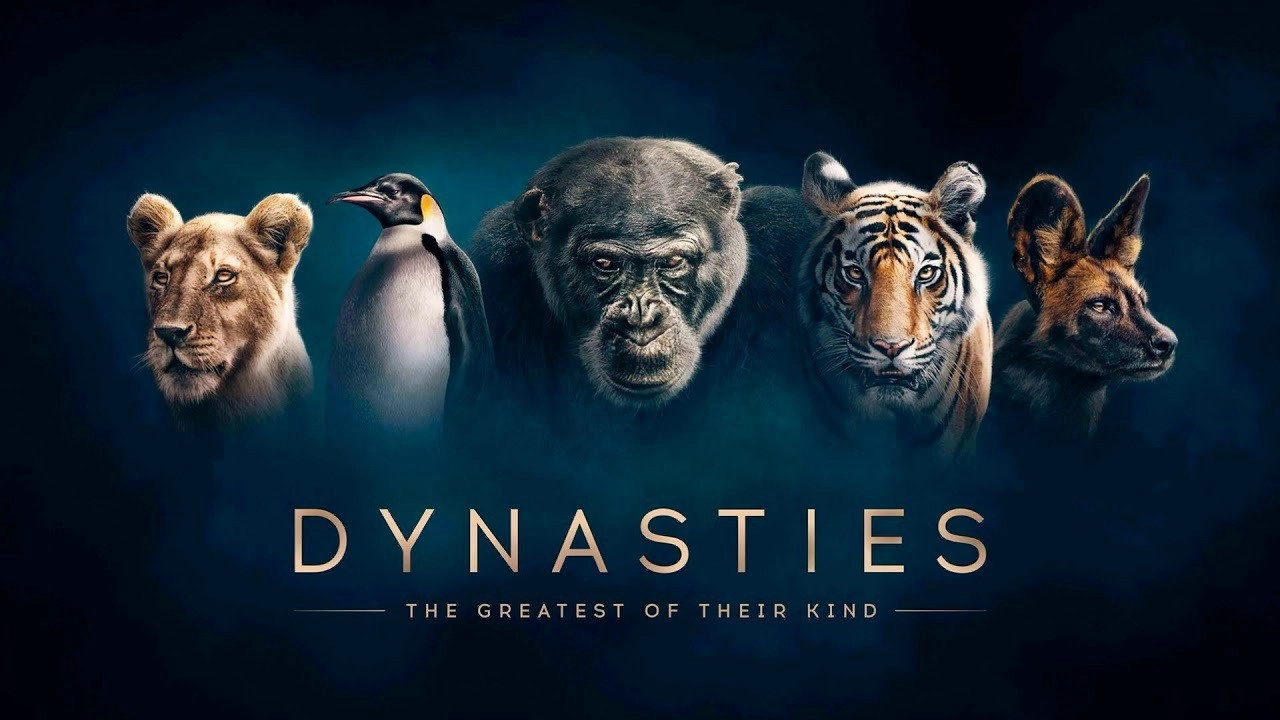 Dynasties