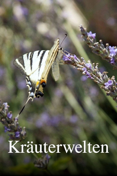 Kräuterwelten