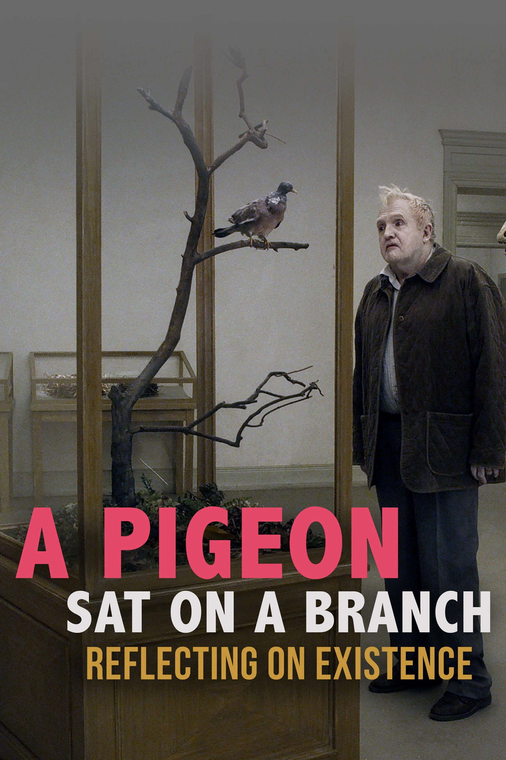 A Pigeon Sat on a Branch Reflecting on Existence