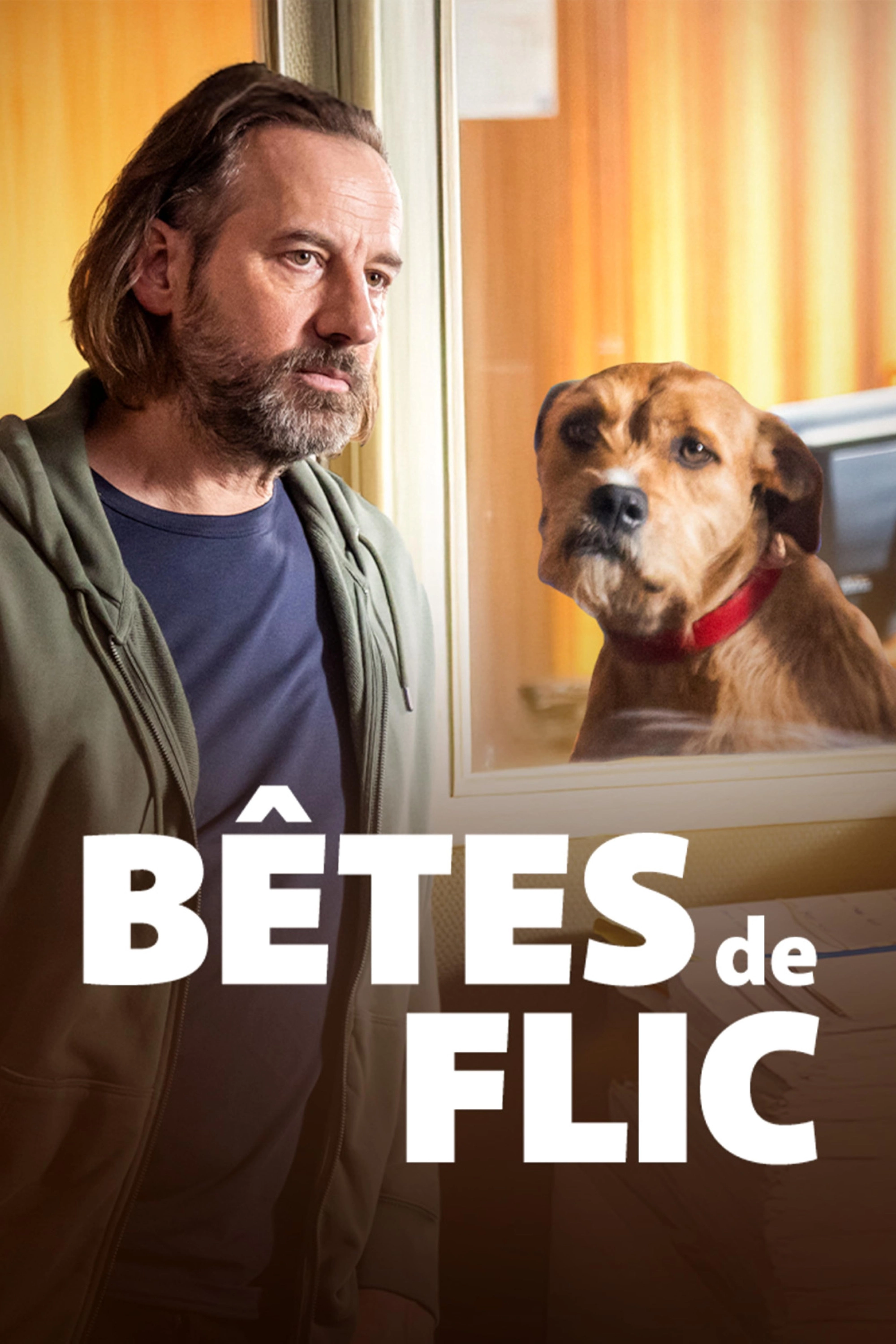Bêtes de flic