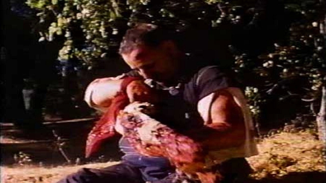 Lunch Meat