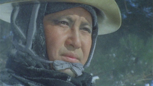Lone Wolf and Cub