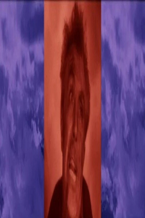 Zebraman