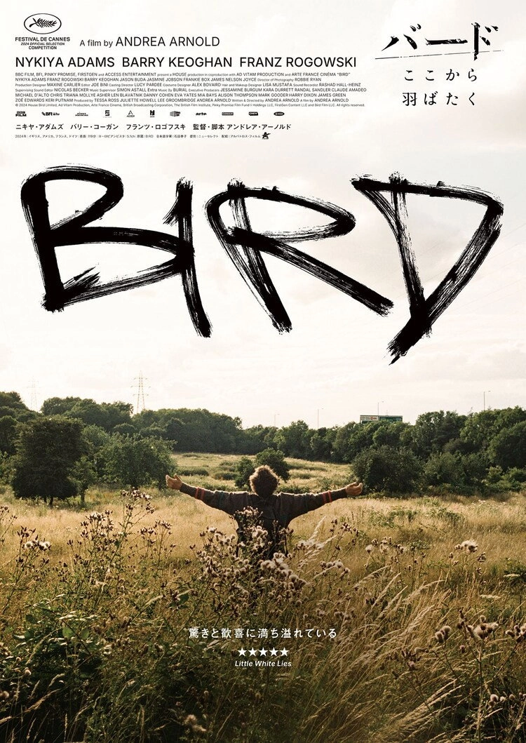 Bird