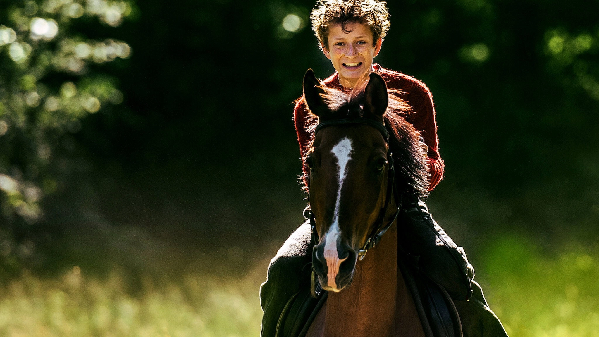 Out Stealing Horses
