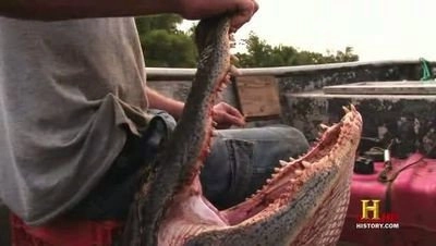 Swamp People