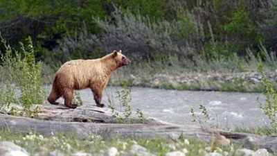Kanadas Nationalparks