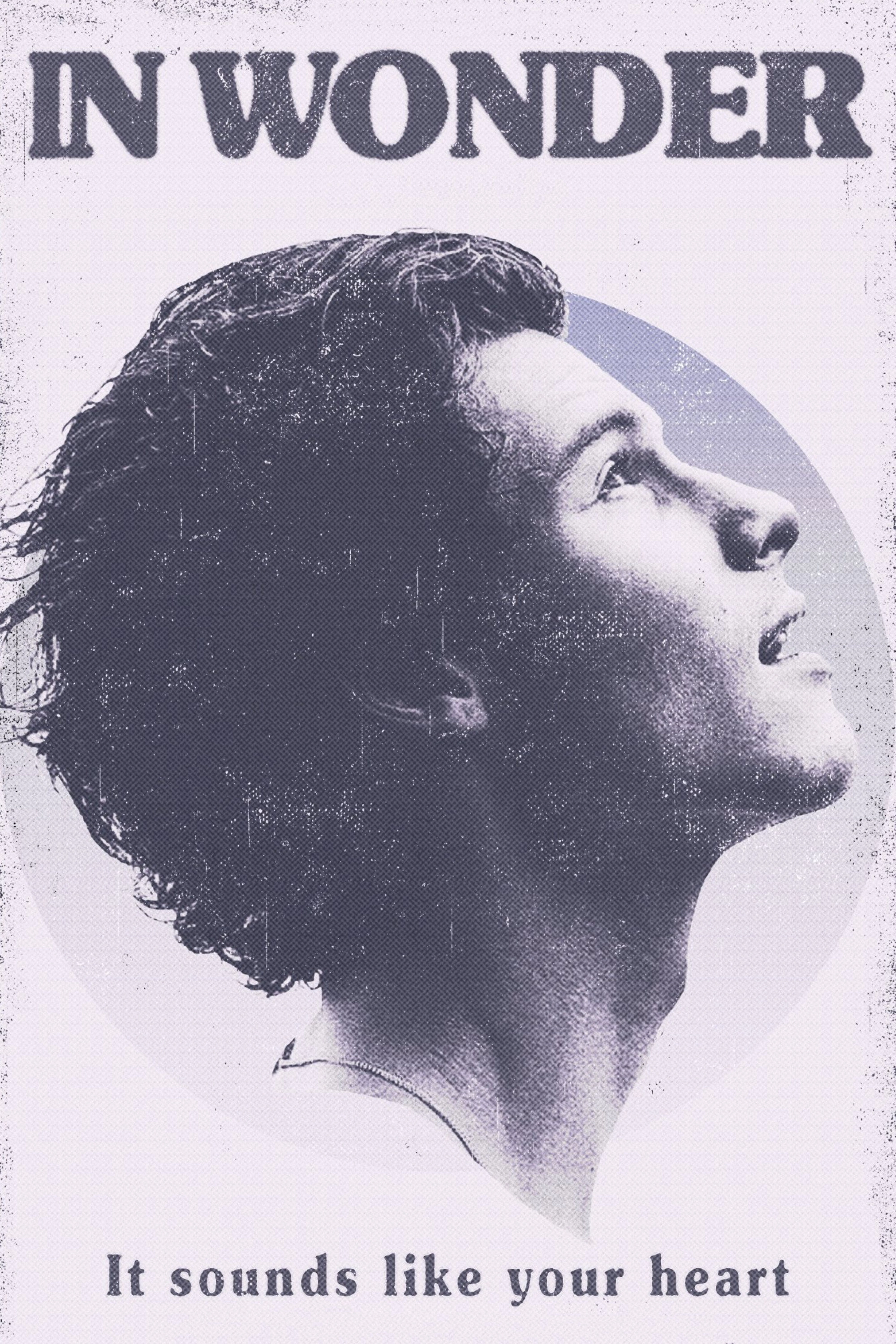 Shawn Mendes: In Wonder