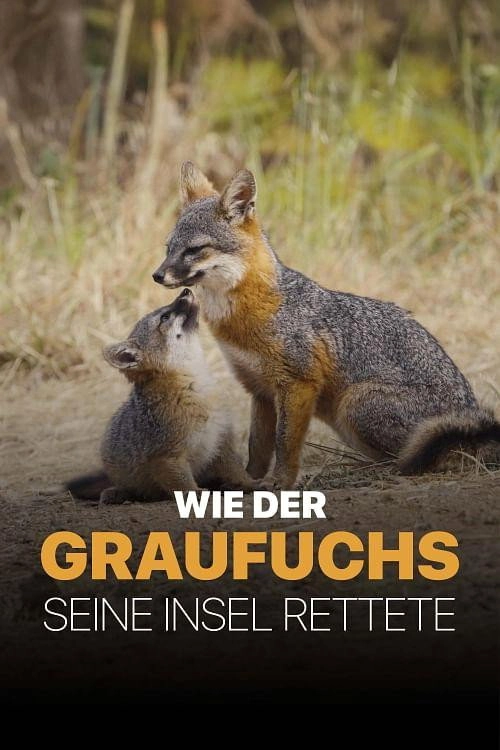 Le renard qui a sauvé son île