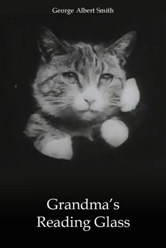 Grandma's Reading Glass
