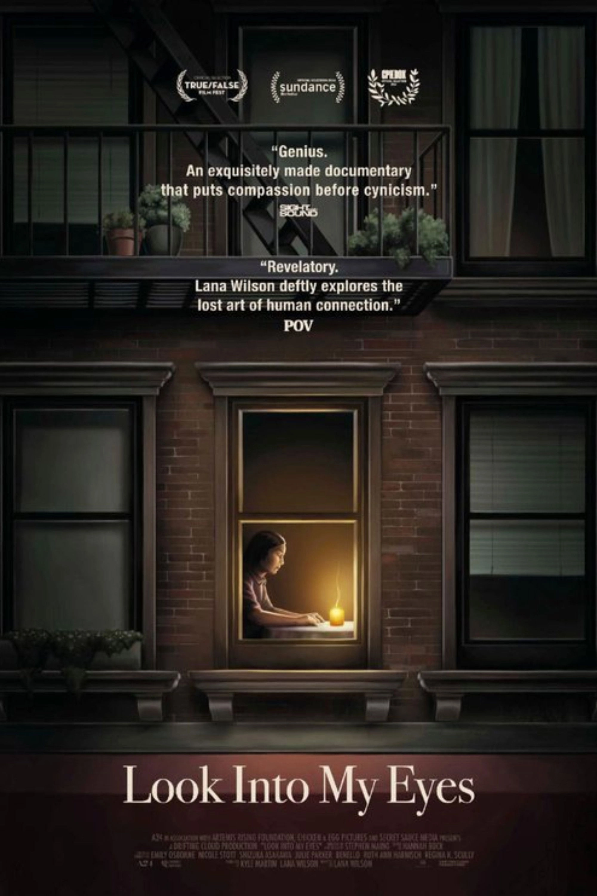 The Cat's House