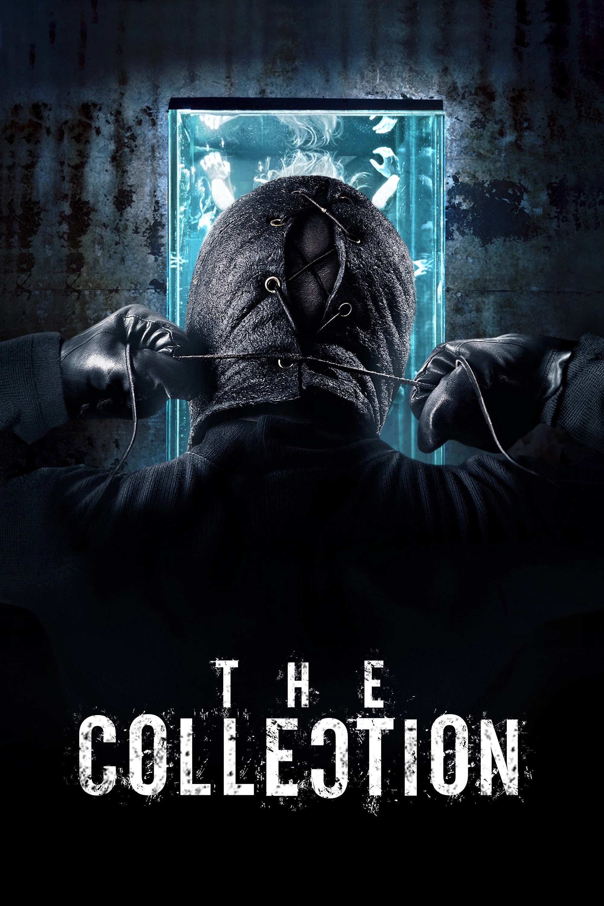 The Collection
