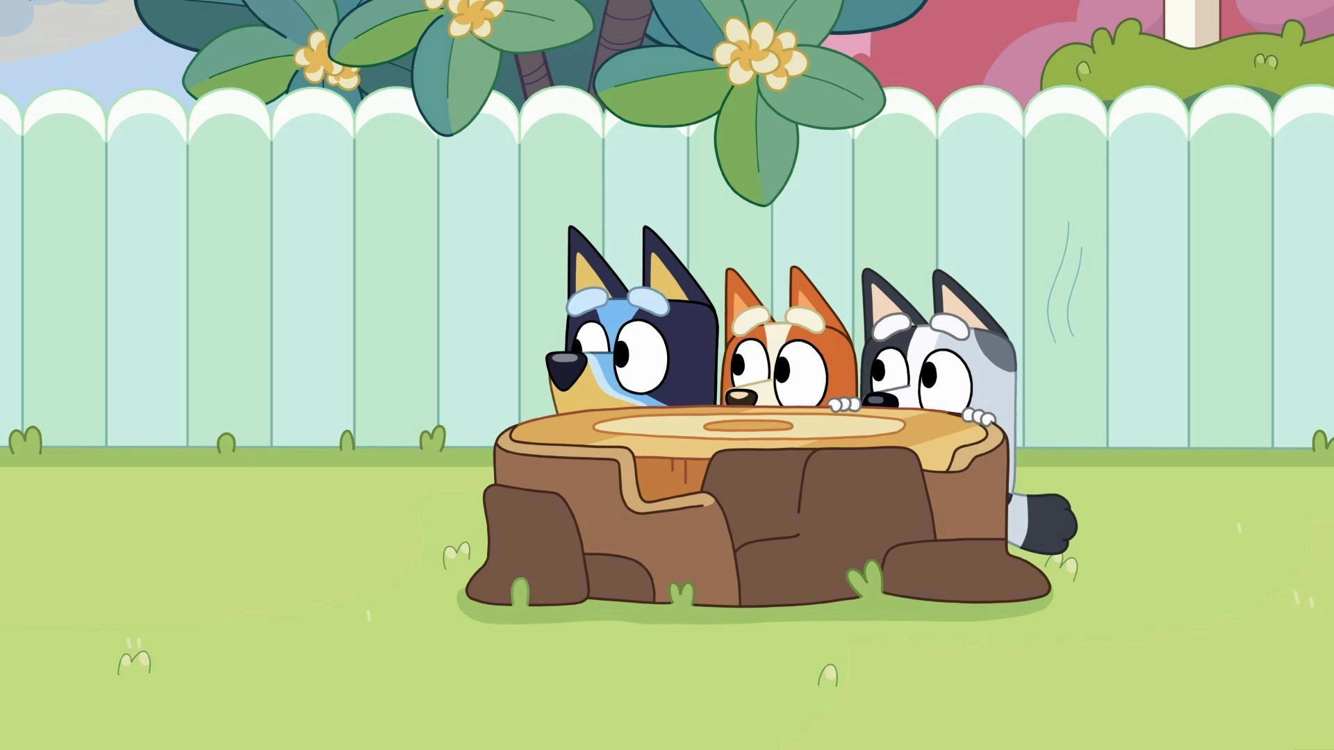 Bluey Compilations
