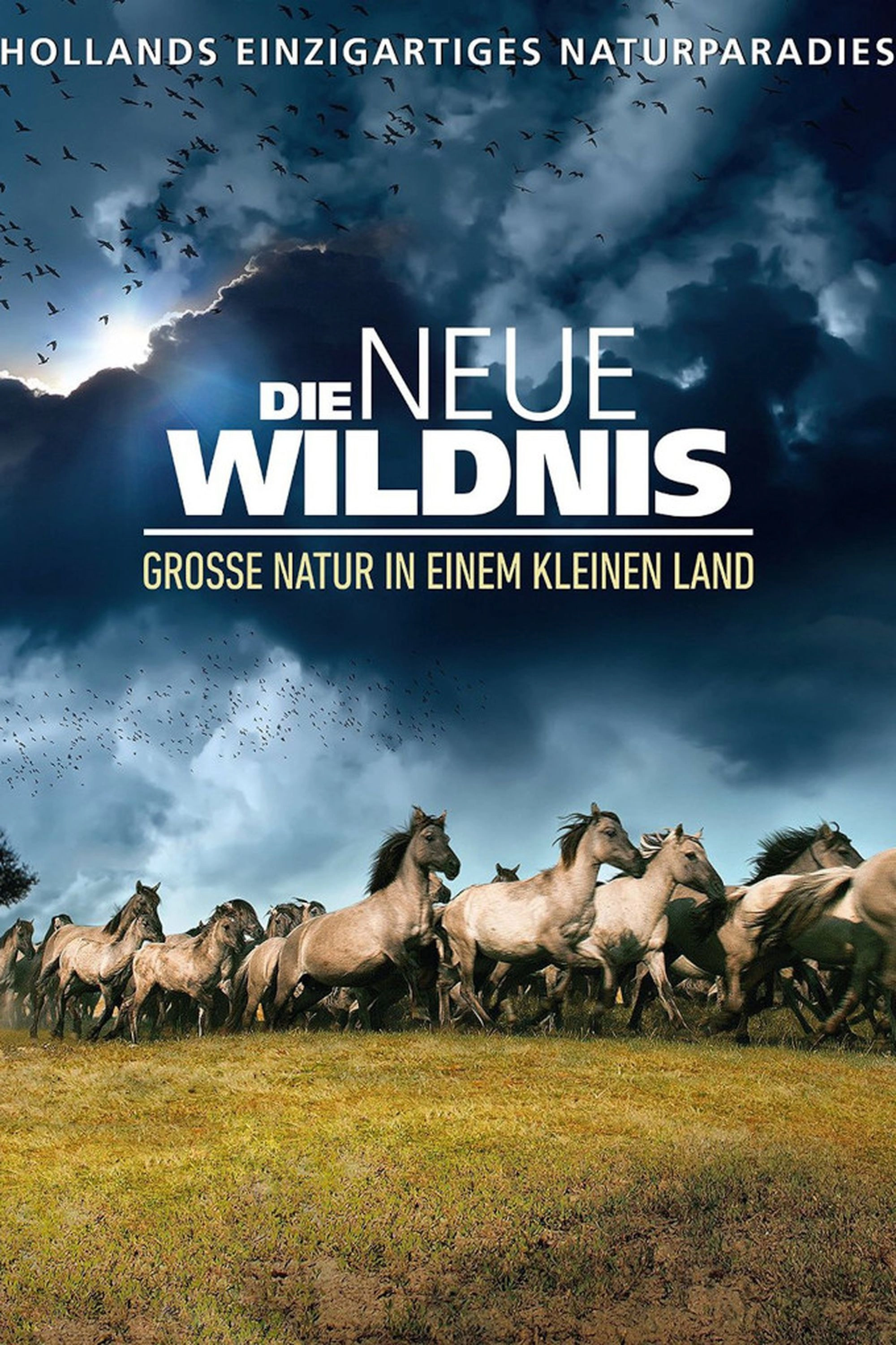 The New Wilderness