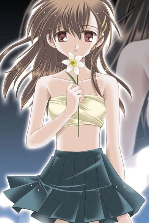 Narcissu