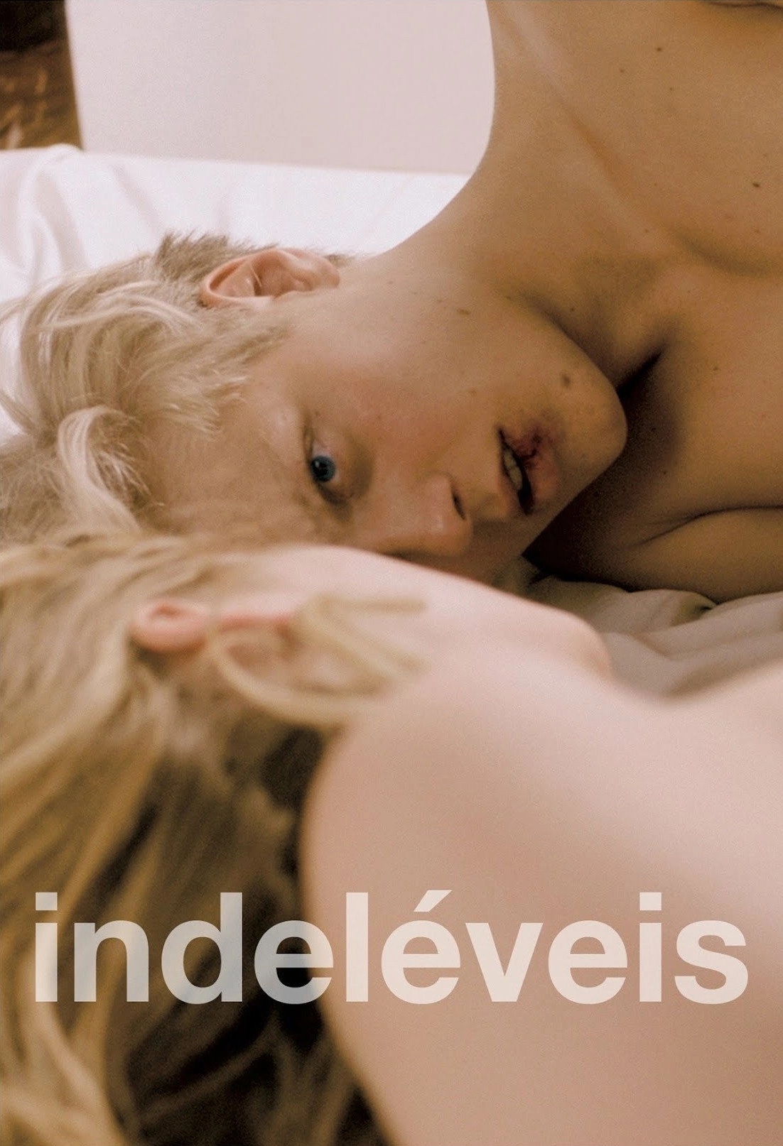 Bienvenue chez les Bodin's