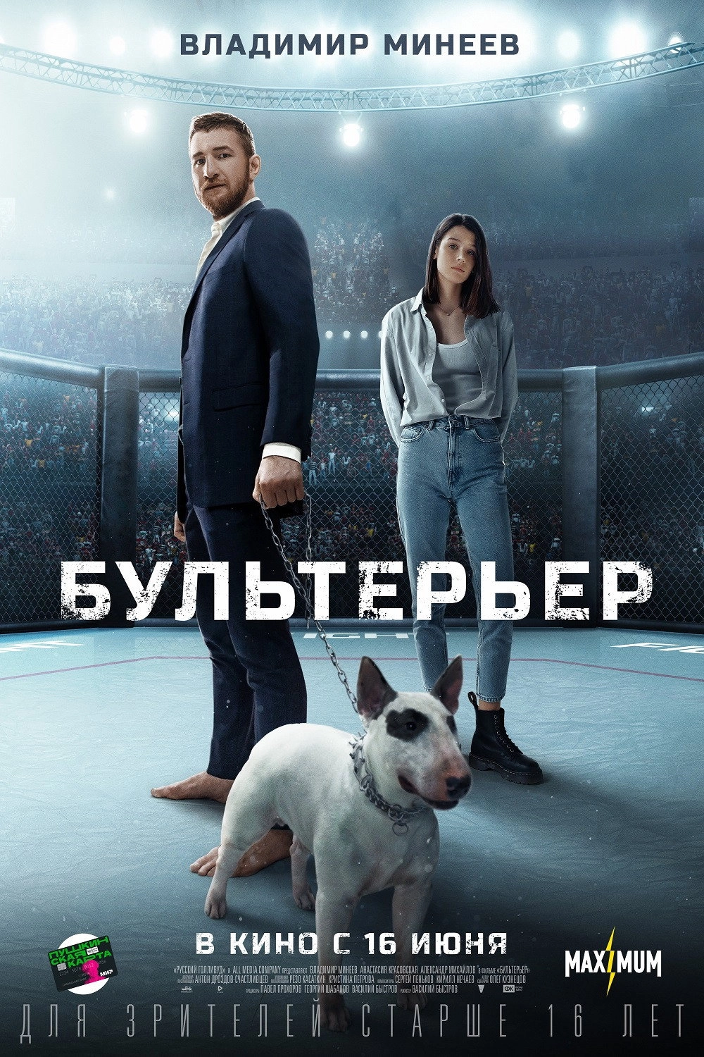Bullterrier