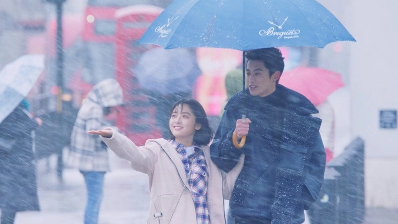 Meteor Garden