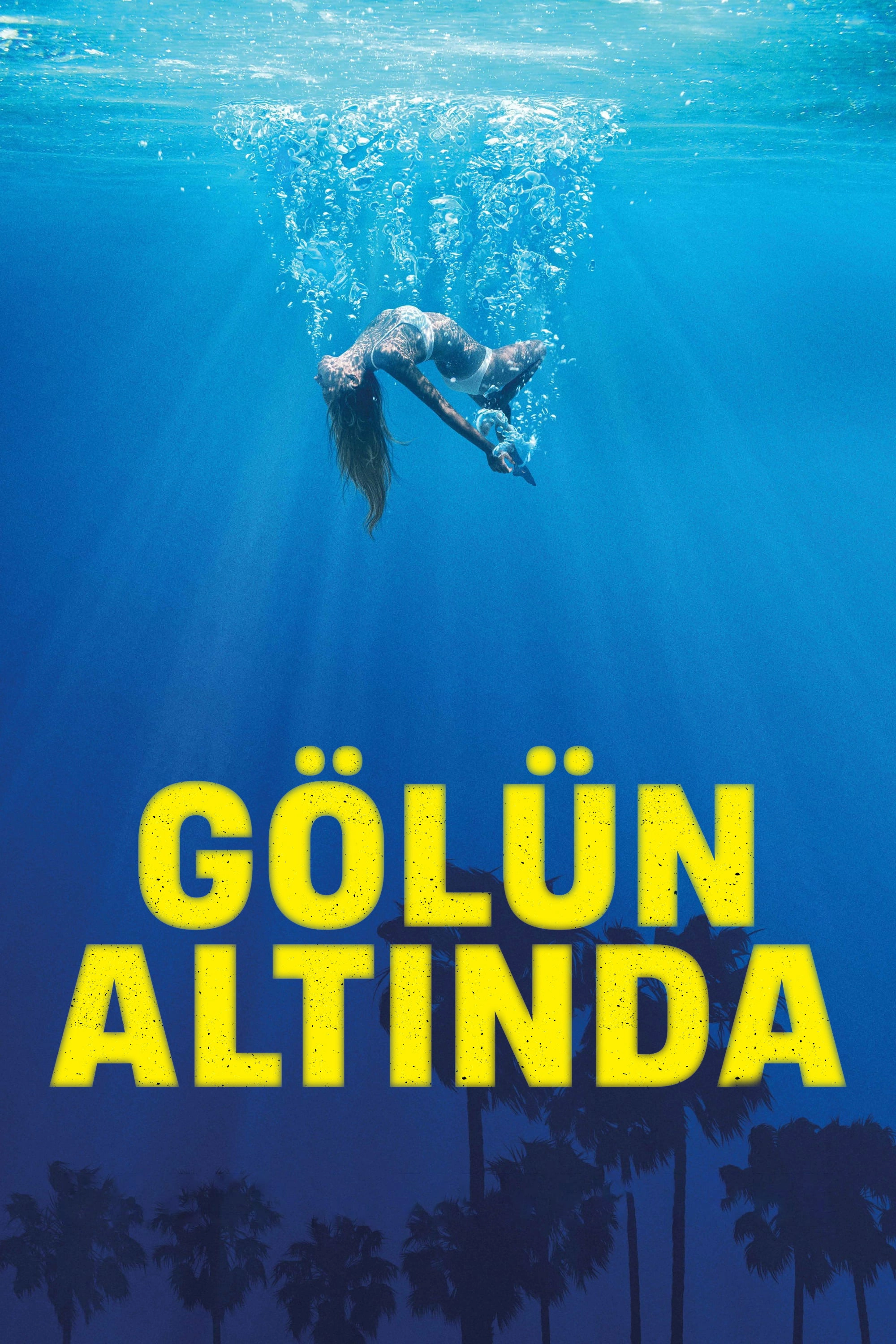 Under the Silver Lake