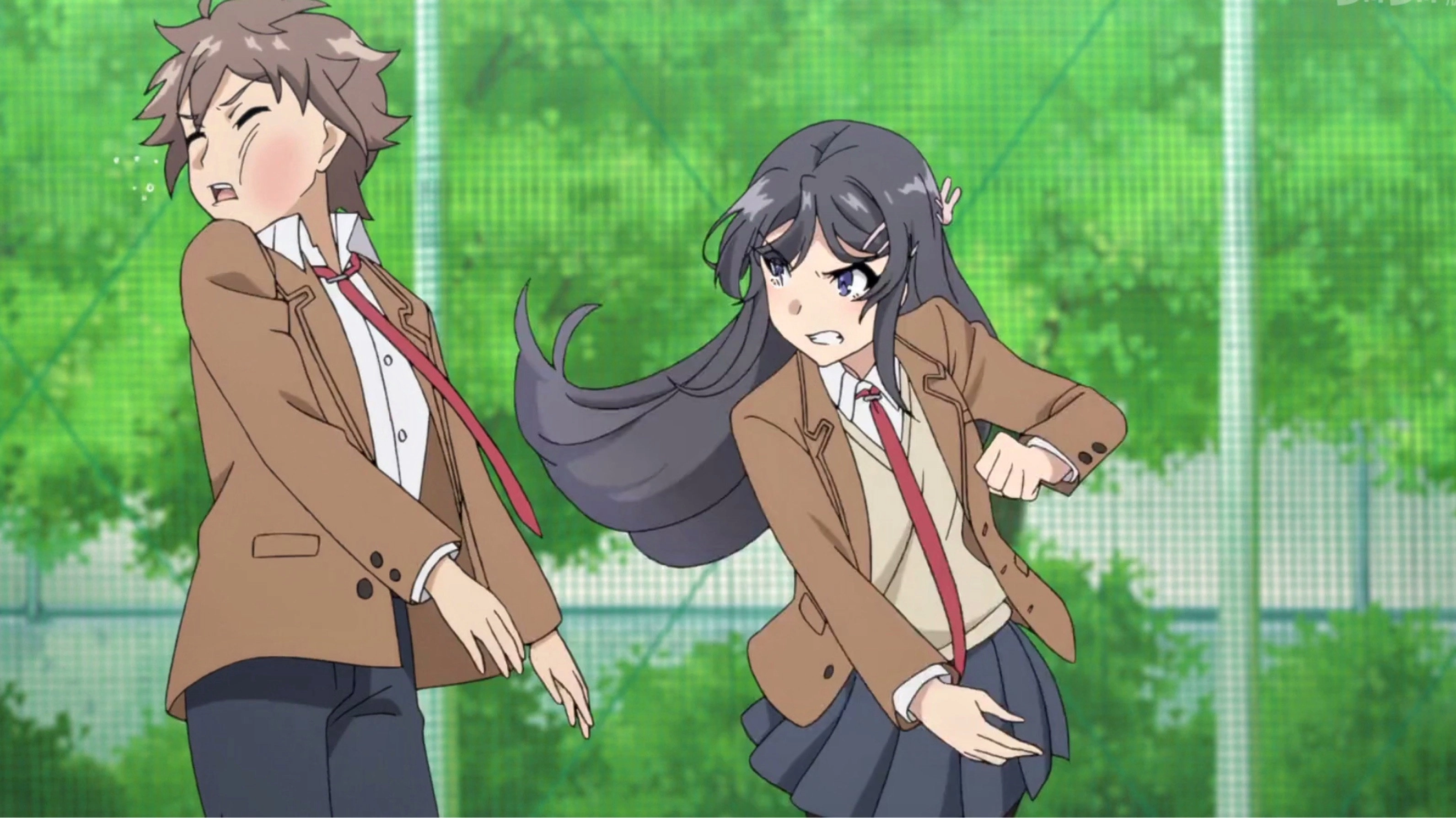 Rascal Does Not Dream of Bunny Girl Senpai
