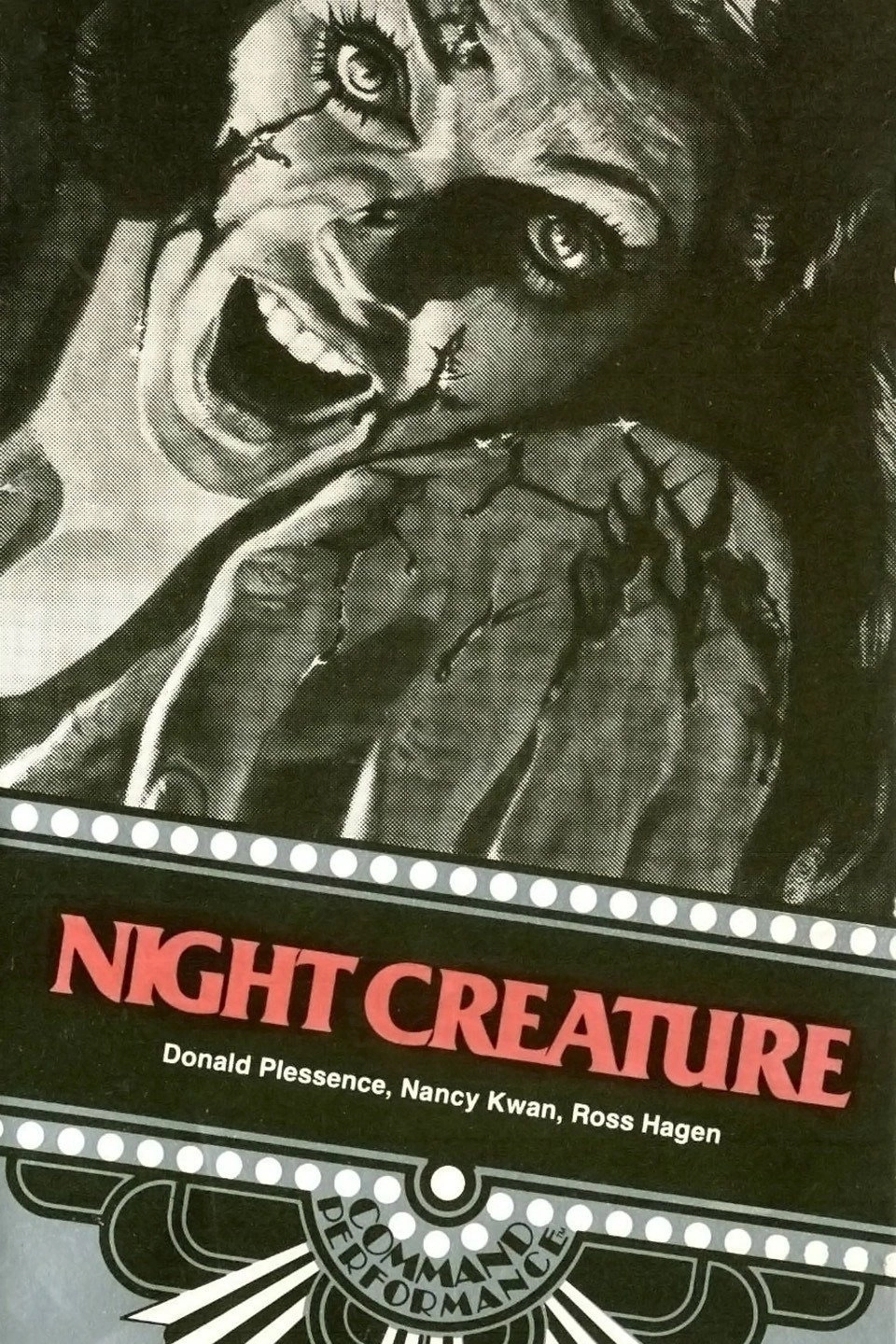 Night Creature