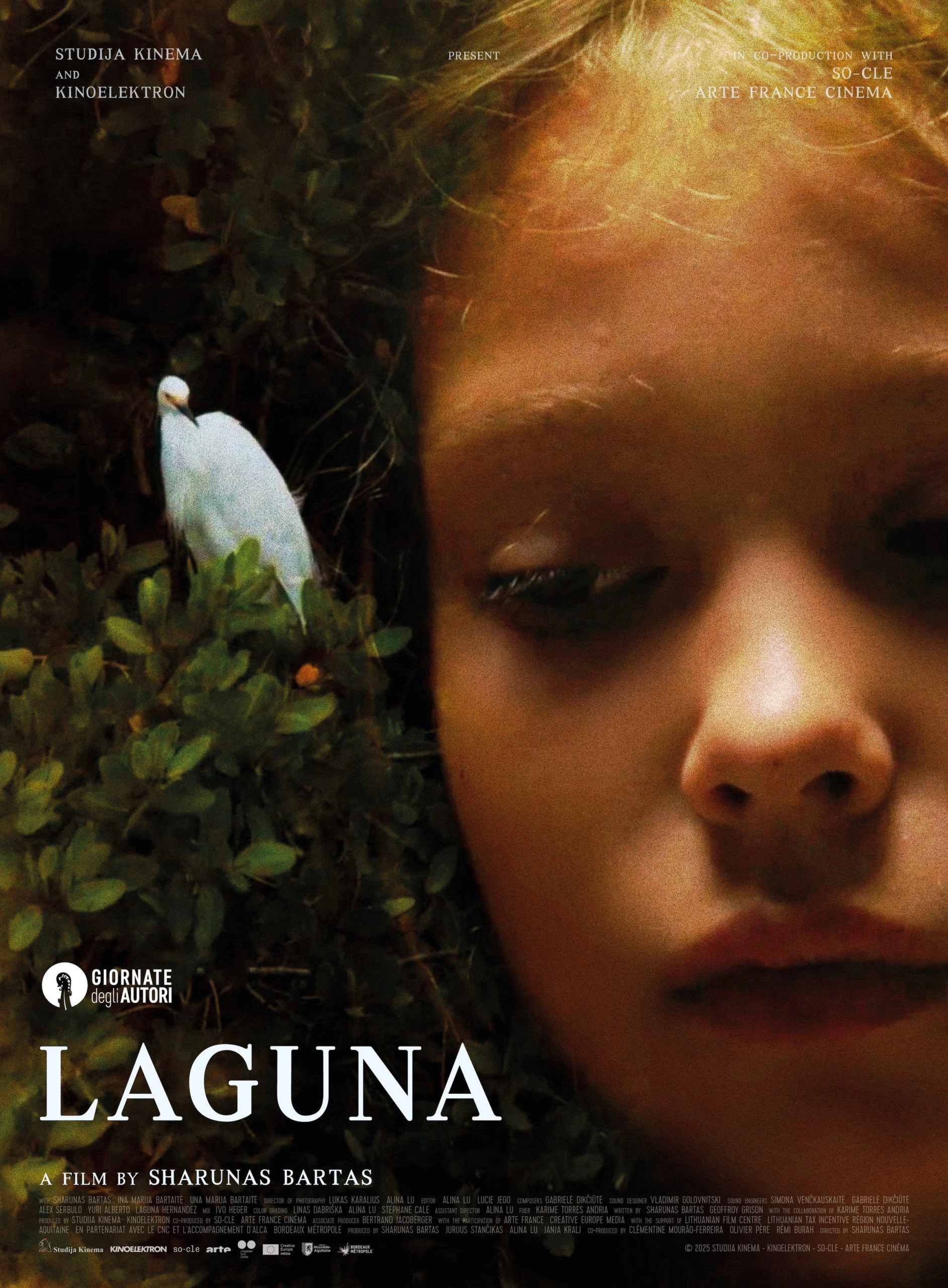 Laguna