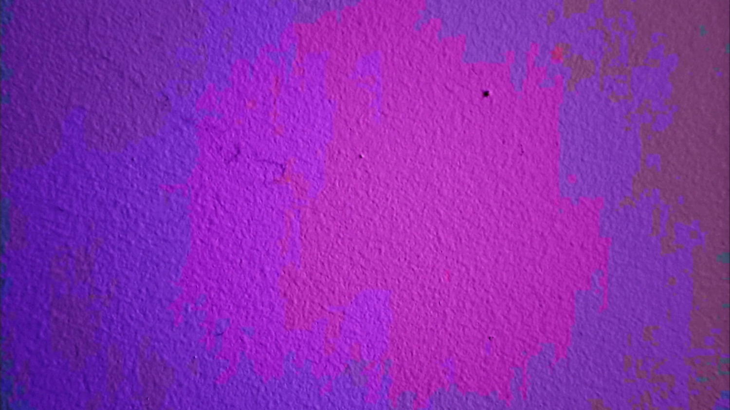 a tiny bug crawls across a wall