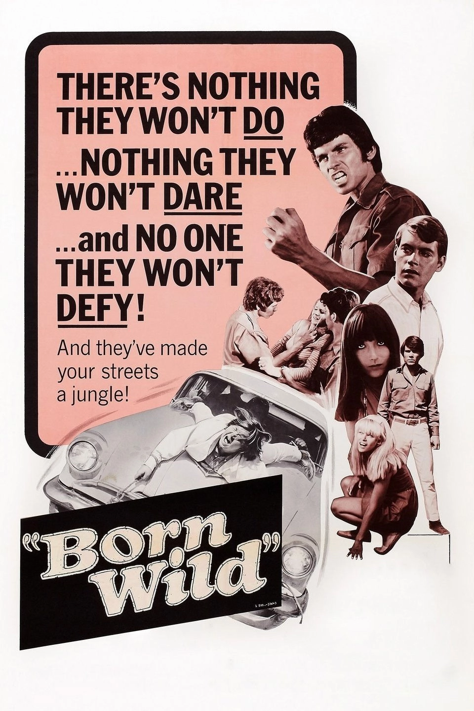 The Young Animals