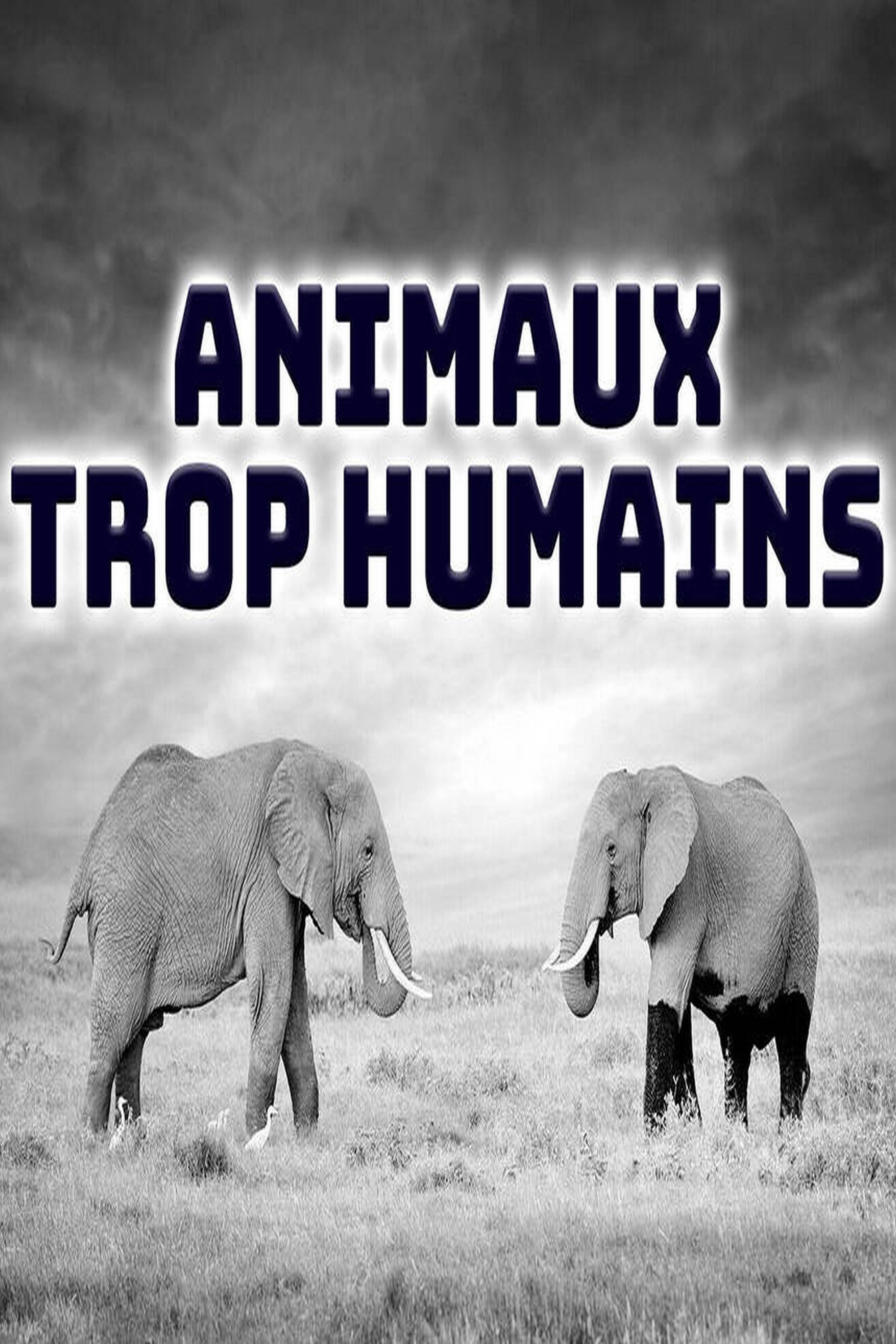Animals Like Us