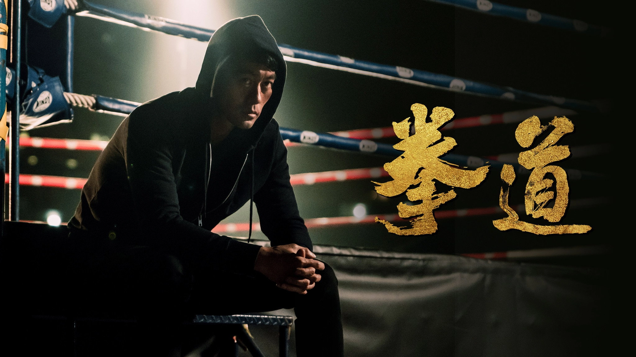 Quan Dao: The Journey of a Boxer