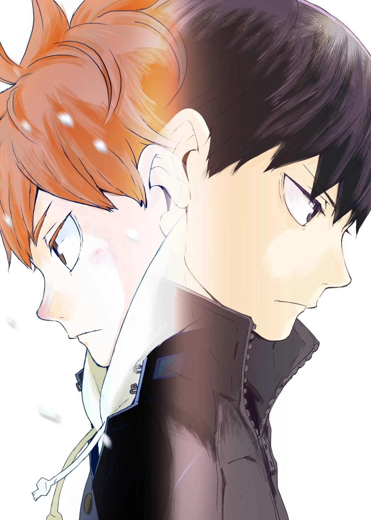Haikyu!!