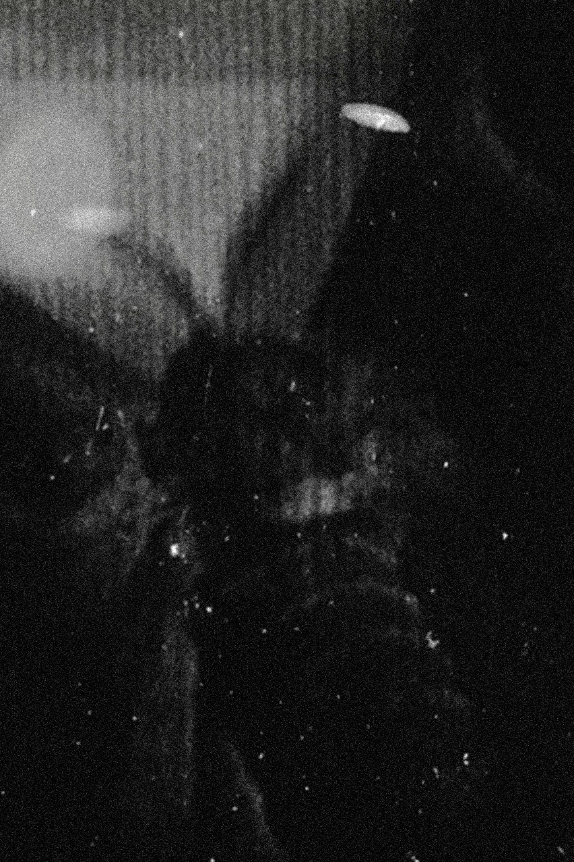 Night Awake