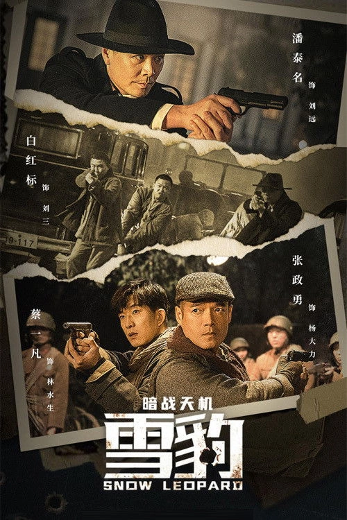 Snow Leopard Secret War