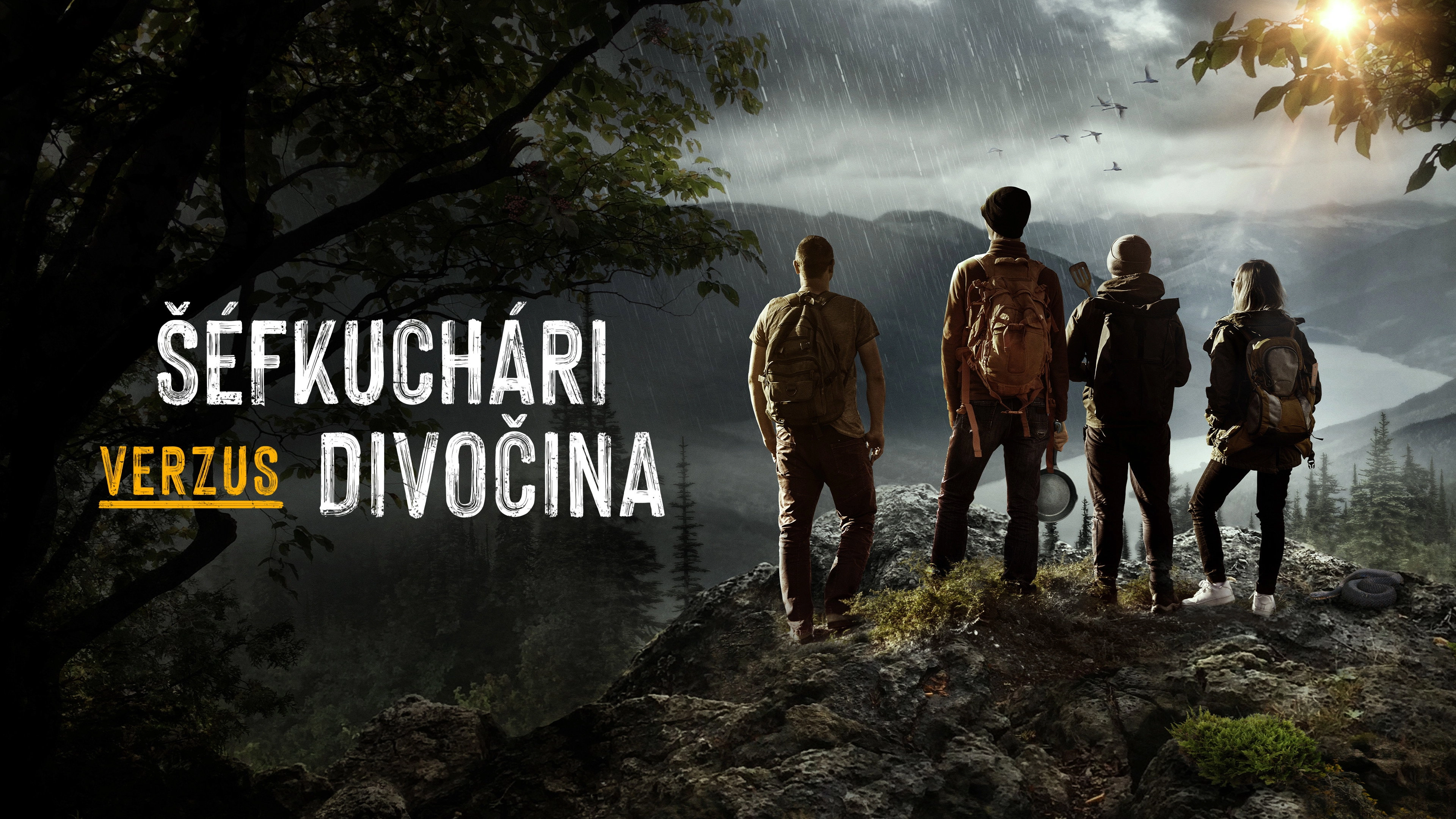 Chefs vs Wild