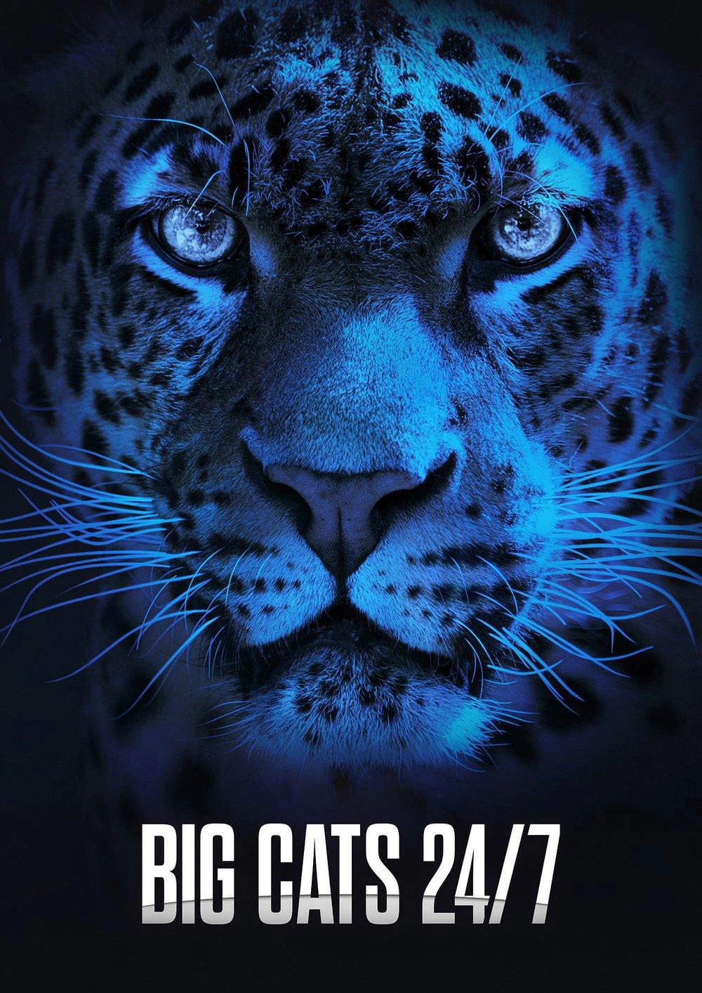 Big Cats 24/7