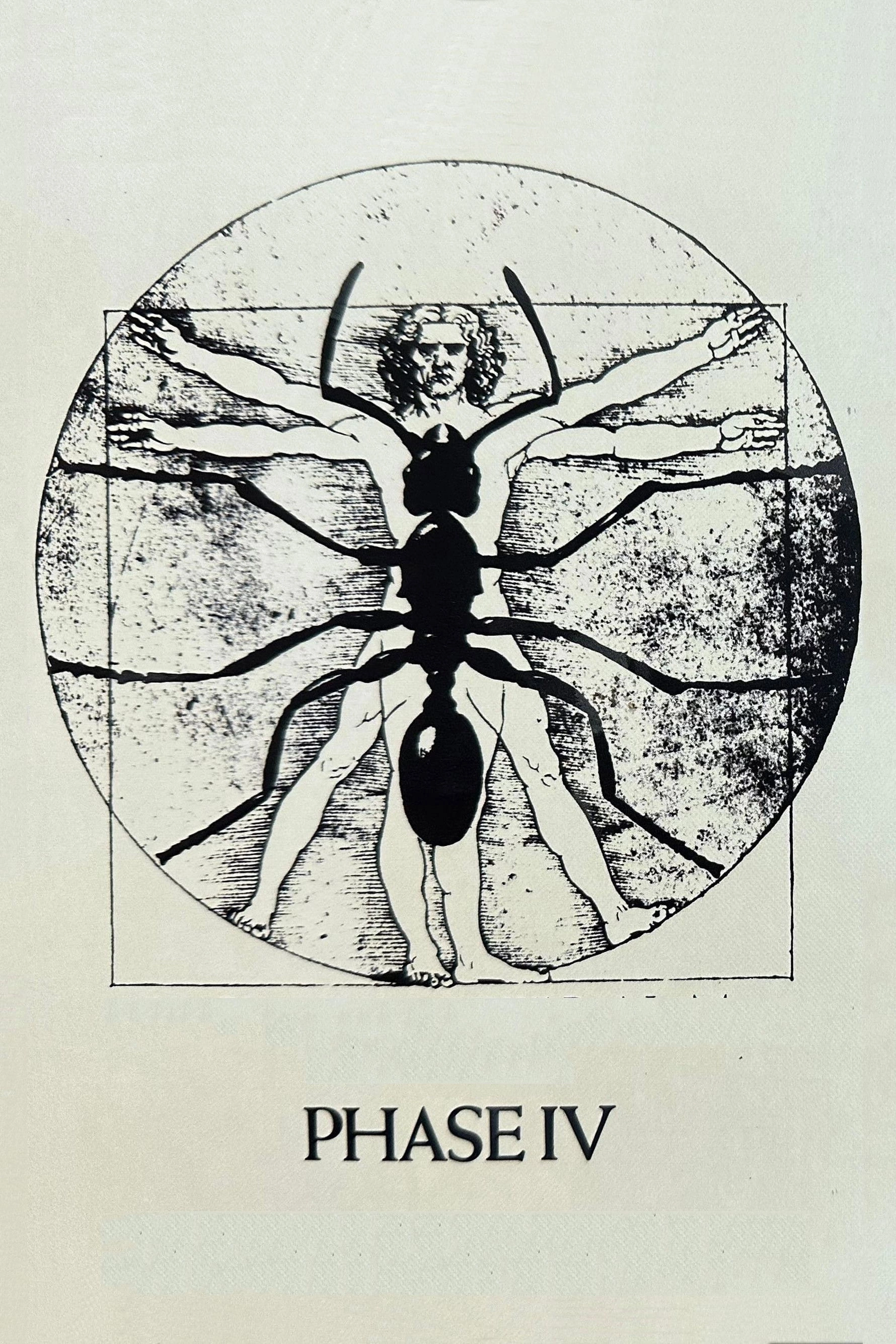 Phase IV