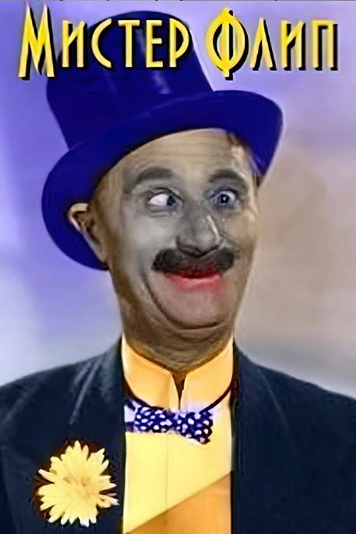 Mr. Flip