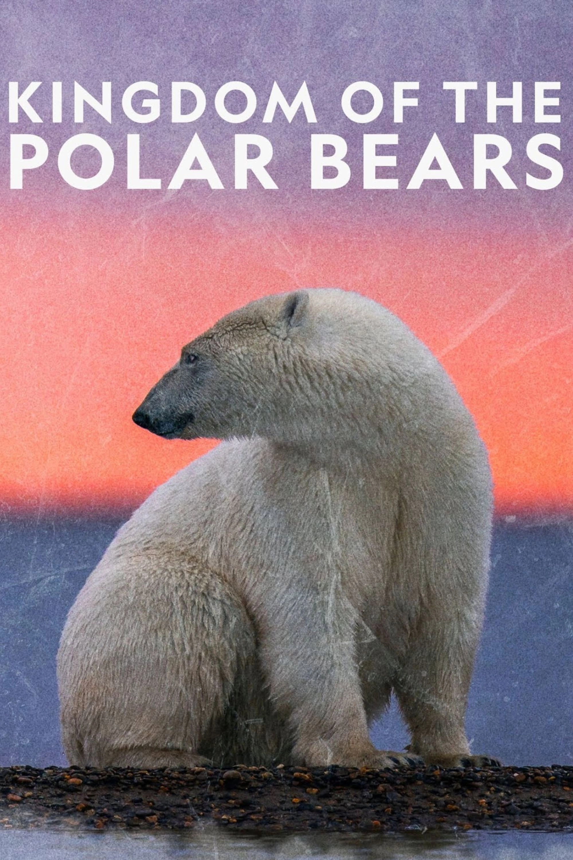 Kingdom of the Polar Bears
